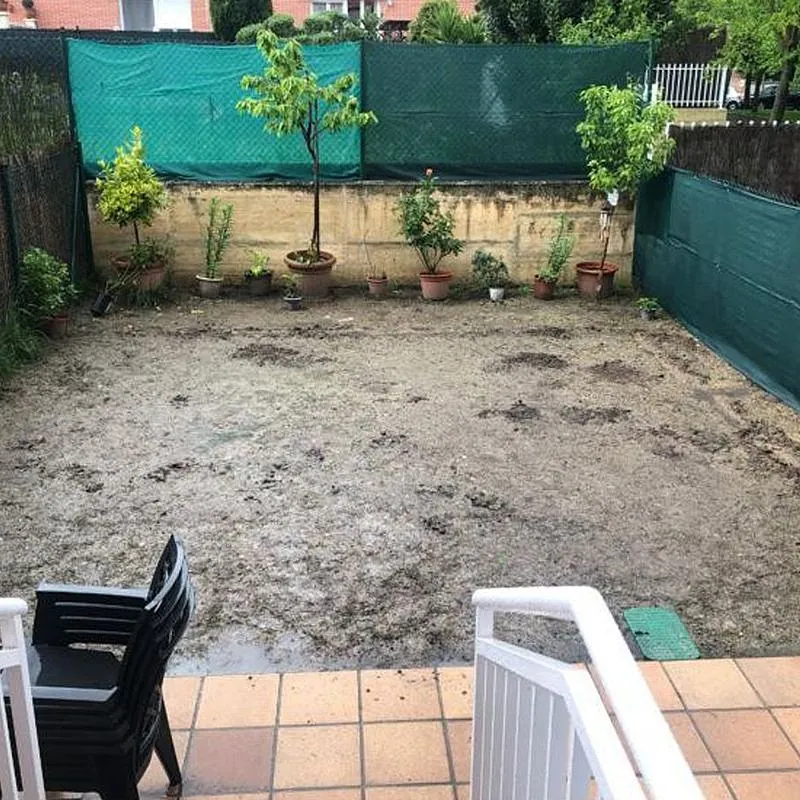 Jardineria Belardi 