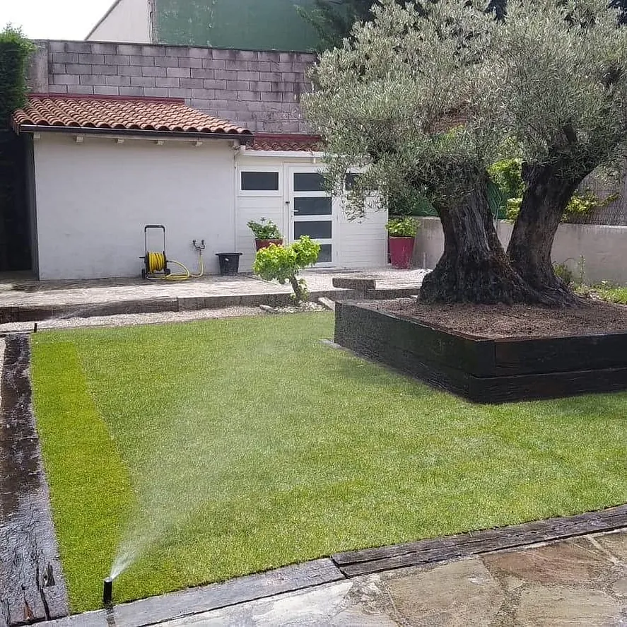 jardon con olivo